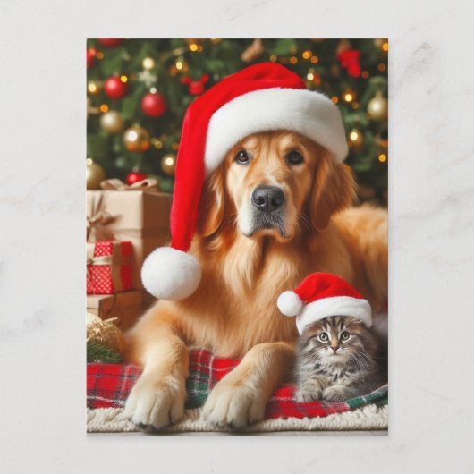 Carte Postale Père Noël Pets Golden Retriever et Kitten Christma (Devant)