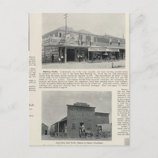 Carte Postale Père Noël Rosa, Californie 2 (Devant)