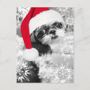 Carte postale père Noël Shih Tzu Girl