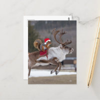 Père Noël Squirrel équitation d'un renne