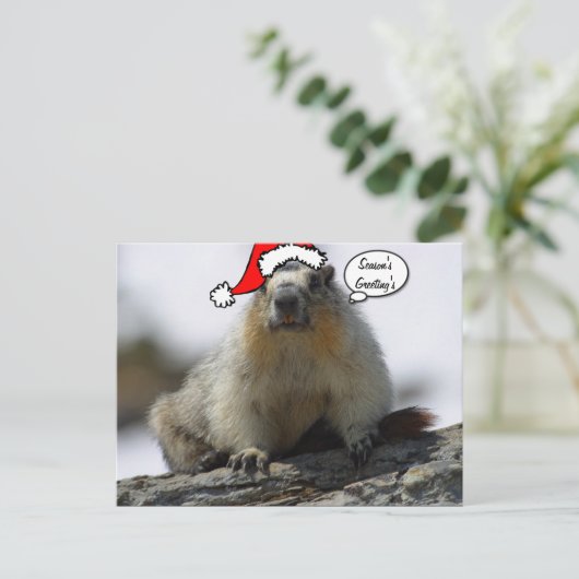 Carte postale Père Noël Squirrel Noël (Debout devant)