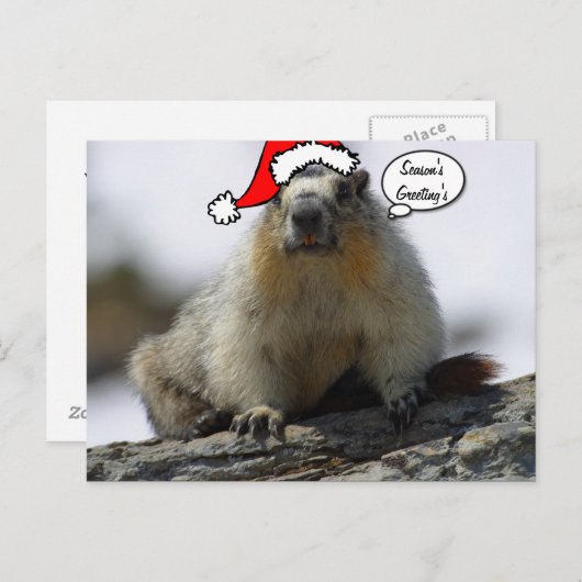 Carte postale Père Noël Squirrel Noël (Devant / Derrière)