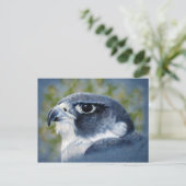 Carte Postale Peregrine-aérographe (Debout devant)