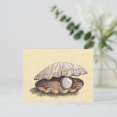 Carte Postale Perfect Pearl Seashell (Debout devant)