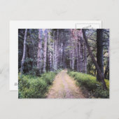 Carte Postale Perfection naturelle (Devant / Derrière)