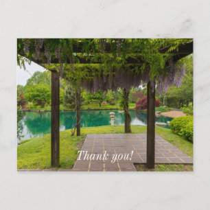 Carte Postale Pergola de glycine