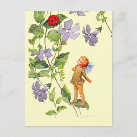 Carte Postale Periwinkle Elf et Ladybug (Devant)