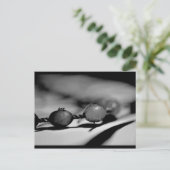 Carte Postale Perles (Debout devant)