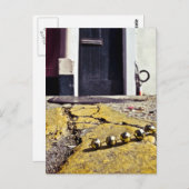 Carte Postale Perles de fête (Devant / Derrière)