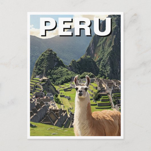 Carte Postale Pérou Llama (Devant)