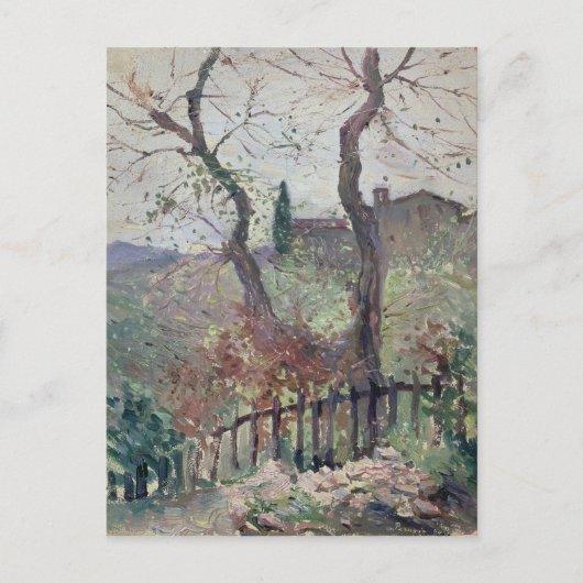 Carte Postale Pérouse, Ombrie, 1894 (Devant)