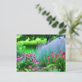 Carte Postale Perovskie pourpre et échinacée (Debout devant)