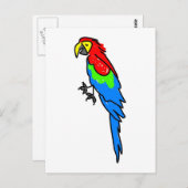 Carte Postale perroquet (Devant / Derrière)