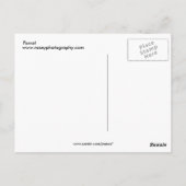 Carte Postale Perroquet (Dos)