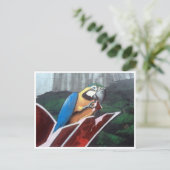 Carte Postale perroquet (Debout devant)