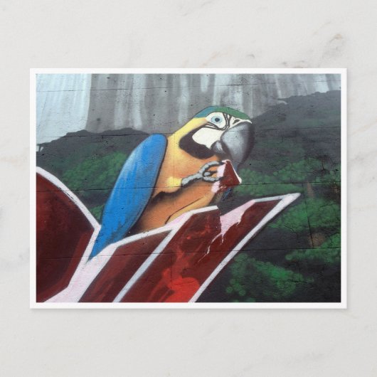 Carte Postale perroquet (Devant)