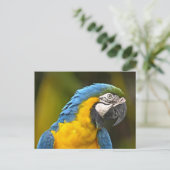 Carte Postale Perroquet (Debout devant)
