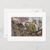 Carte Postale perroquet (Devant / Derrière)