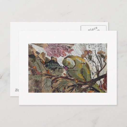 Carte Postale perroquet (Devant / Derrière)