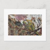 Carte Postale perroquet (Devant)