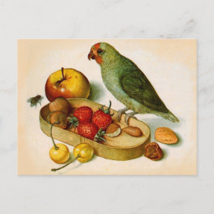 Carte Postale Perroquet à la pomme de terre avec fruits et noix