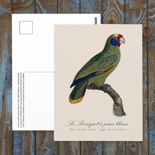 Carte Postale Perroquet à queue rouge, Amazona Brasiliensis