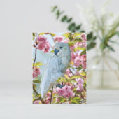 Carte Postale Perroquet blanc dans Crab Apple Tree Postcard (Debout devant)