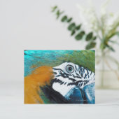 Carte Postale Perroquet bleu (Debout devant)