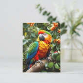 Carte Postale Perroquet coloré (Debout devant)