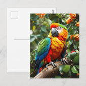 Carte Postale Perroquet coloré (Devant / Derrière)