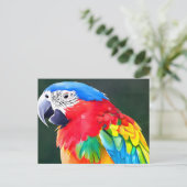 Carte Postale Perroquet coloré (Debout devant)