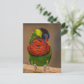 Carte Postale Perroquet coloré (Debout devant)