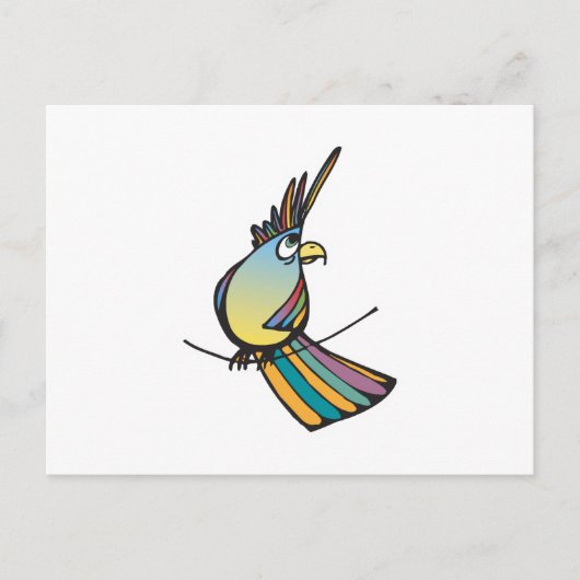 Carte Postale perroquet coloré idiot (Devant)