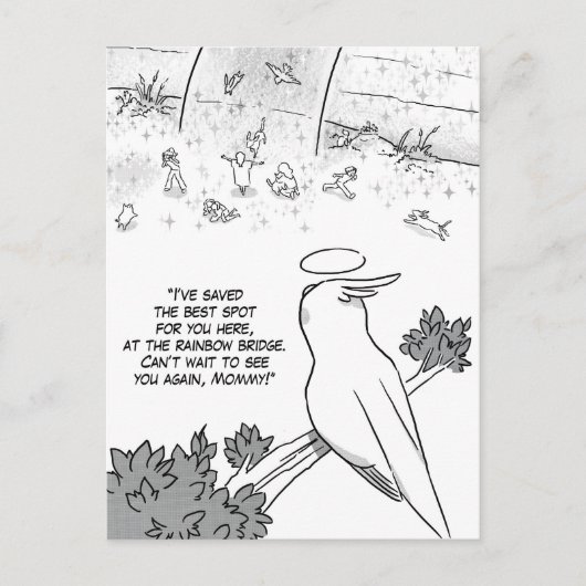 Carte Postale Perroquet de pont arc-en-ciel (Devant)