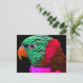 Carte Postale Perroquet exotique vert rose rouge (Debout devant)