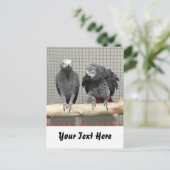 Carte Postale Perroquet gris africain, poste (Debout devant)