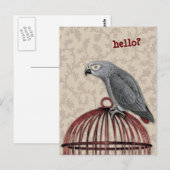 Carte Postale Perroquet gris africain sur cage à oiseaux rouges (Devant / Derrière)