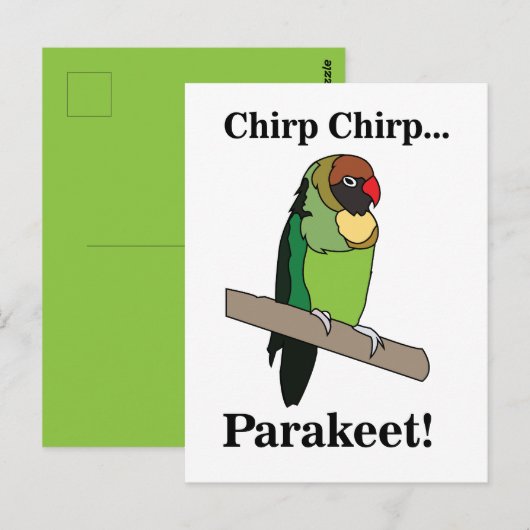 Carte Postale Perroquet oiseau (Devant / Derrière)