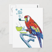 Carte Postale Perroquet particulier (Devant / Derrière)