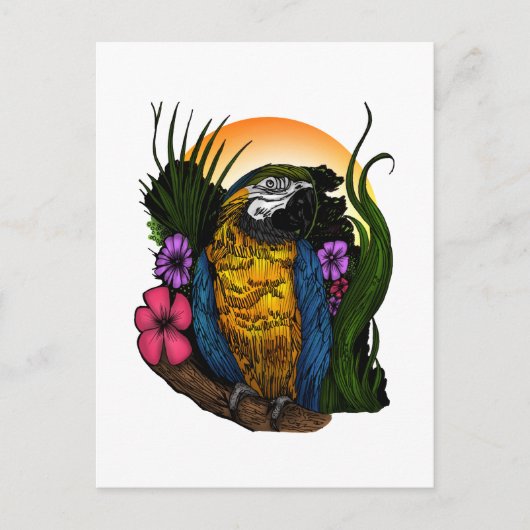 Carte Postale Perroquet tropical (Devant)