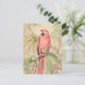 CARTE POSTALE PERROQUET TROPICAL AUX COULEURS PASTEL (Debout devant)