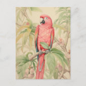 CARTE POSTALE PERROQUET TROPICAL AUX COULEURS PASTEL (Devant)