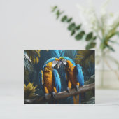 Carte Postale Perroquets colorés (Debout devant)