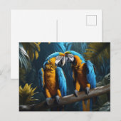 Carte Postale Perroquets colorés (Devant / Derrière)