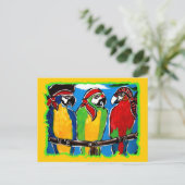 CARTE POSTALE PERROQUETS DE PIRATES (Debout devant)