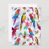Carte Postale Perroquets de style aquarelle 2 (Devant / Derrière)