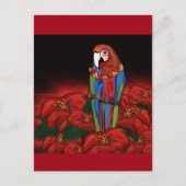 CARTE POSTALE PERROQUETS FÊTARDS (Devant)