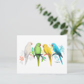 Carte Postale Perroquets indiens Ringneck (Debout devant)