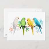 Carte Postale Perroquets indiens Ringneck (Devant / Derrière)