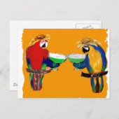 Carte Postale Perroquets ivres (Devant / Derrière)